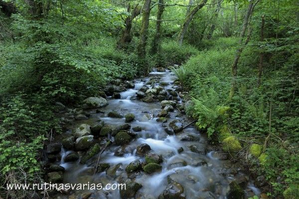 IMG_2433-copia960-RV