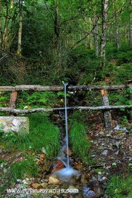 Fuente en el camino