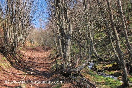Camino del Cuchao